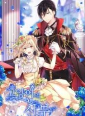 Cat’s Bride 1
