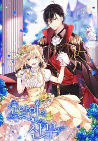 Cat’s Bride 1