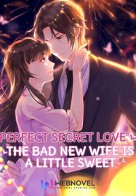 Perfect Secret Love