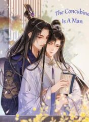 The Concubine is a man