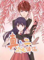 2D Partner scan 1