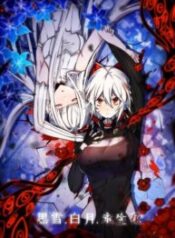 Black Snow. White Moon. Eternal Blossom