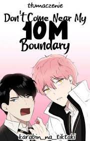 Don’t Come Near My 10M Boundary scan 1
