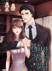There Is No Perfect Married Couple