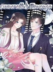 Cinderella’s Revenge