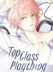 Top-Class Plaything