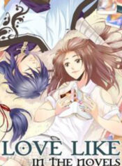 Love Like In The Novels
