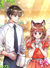 Samwol Kim the Coffee Fox
