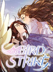 Bird Strike