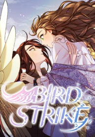 Bird Strike
