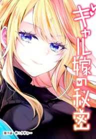 Gal Yome No Himitsu
