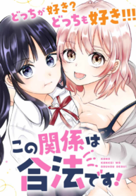 Kono Kankei Wa Gouhou Desu!