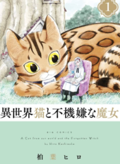 A Cat from Our World and the Forgotten Witch