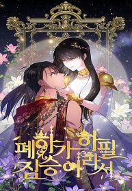 manga_47001_image