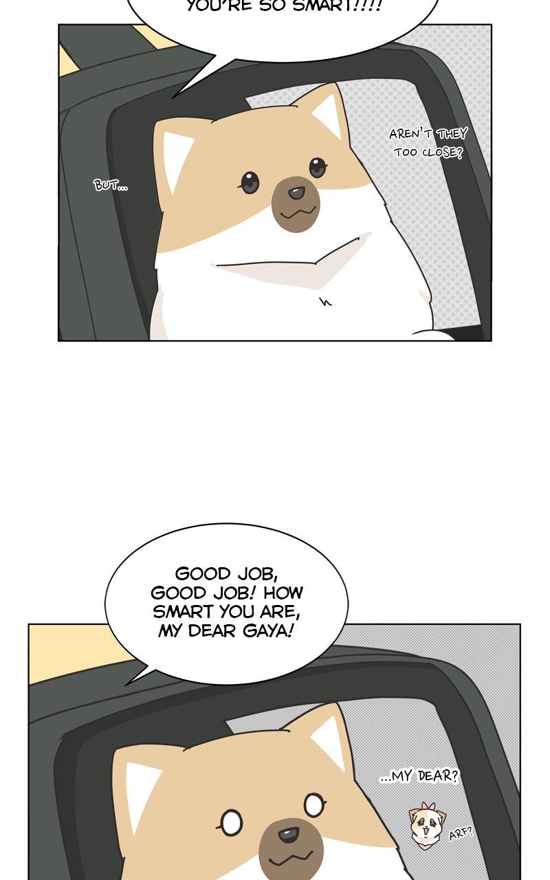The Dog Diaries Chapter 114 - Page 8