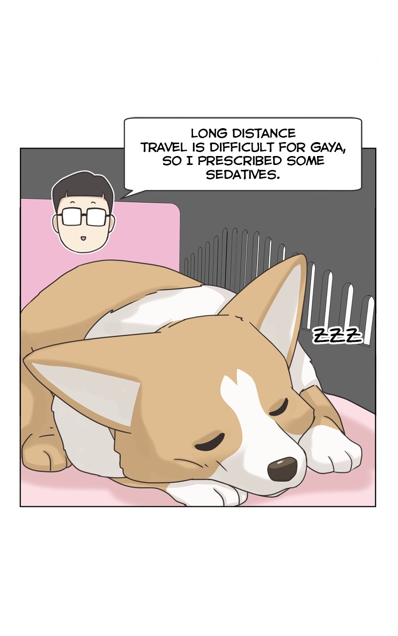 The Dog Diaries Chapter 114 - Page 70